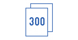 Fähre(s)pass 300 (Wert 400) Aufladung
